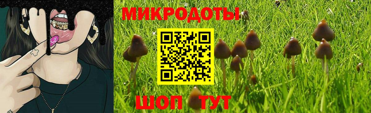 Галлюциногенные грибы мухоморы Нефтеюганск