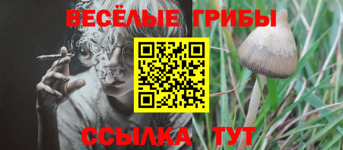 Галлюциногенные грибы ЛСД  Вход с VPN  Нефтеюганск  Псилоцибиновые грибы мицелий 